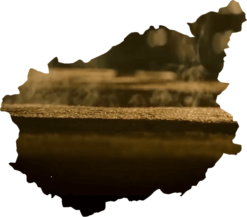 杜康酒 品質的保證